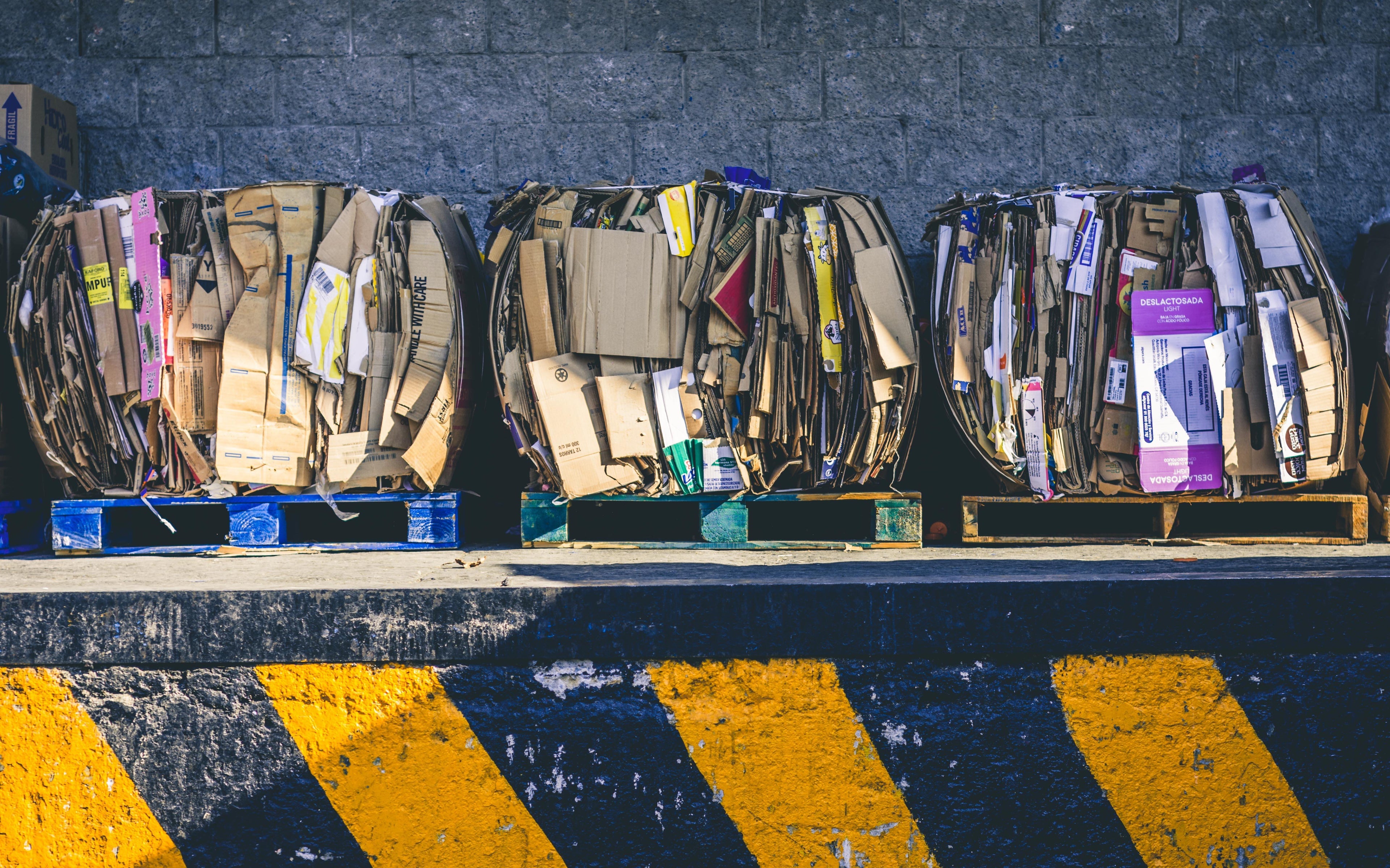Facts About Paper Waste: 7 Ways To Reduce Your Waste