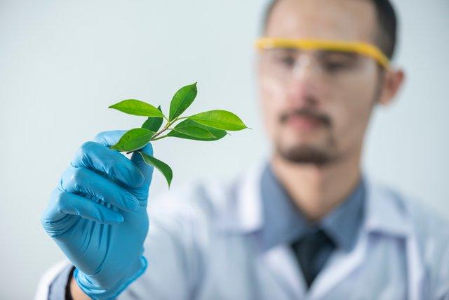 Greenwashing: "Natural" Products