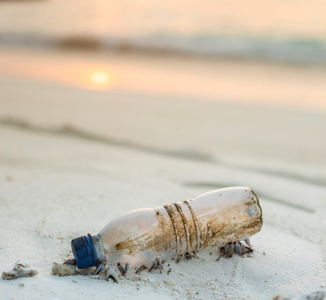 Landfills: What Are They And What Problems Do They Cause