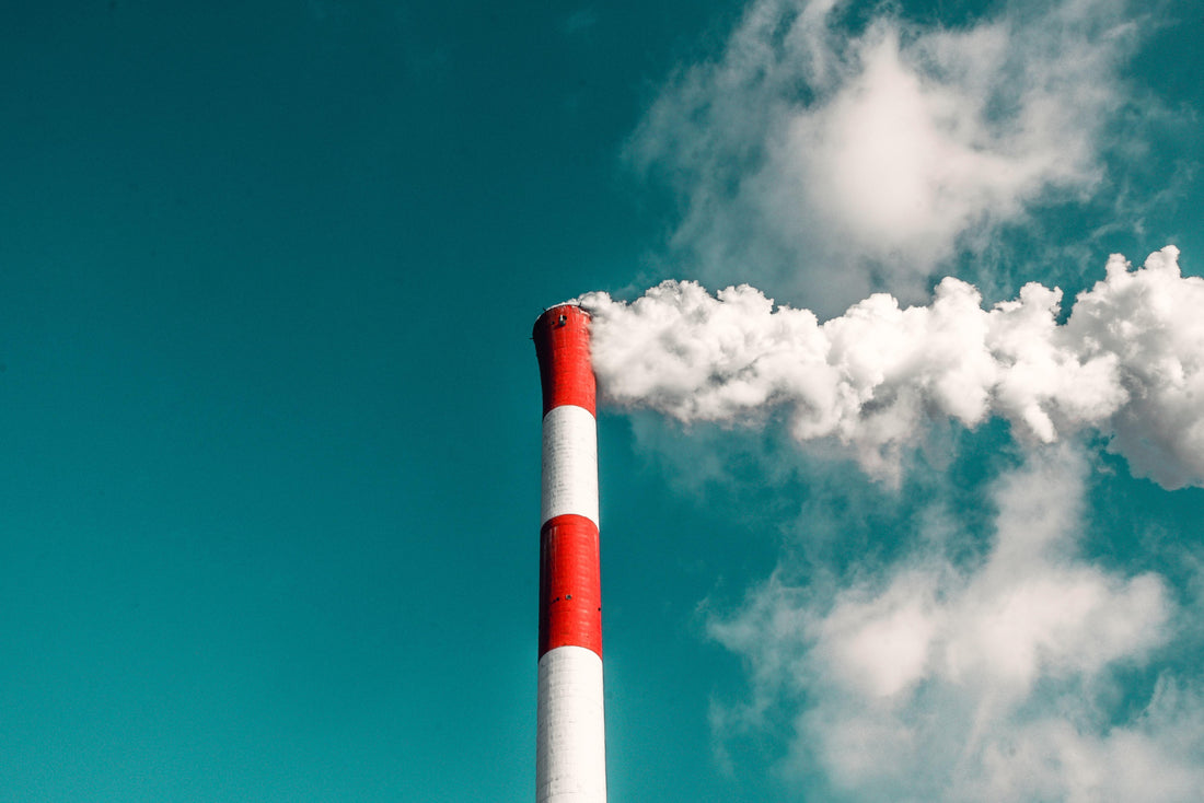 What Is Recycling Contamination?